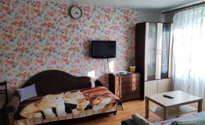 Снять 1-комнатную квартиру на сутки, Волковыск, Советская 7. Фото 4