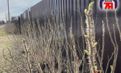 Купить участок, Новые земли, 7.52 соток. Фото 19