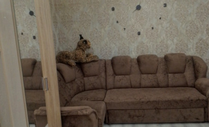 Снять 2-комнатную квартиру на сутки, Клецк, Строителей 3/17. Фото 5