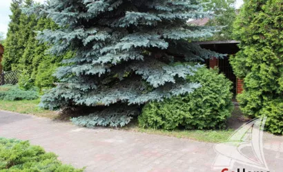  3-этаж.(270.2 м2), Брест(Березовка)