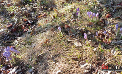 Купить дом, Драчково, 14.66 соток. Фото 9