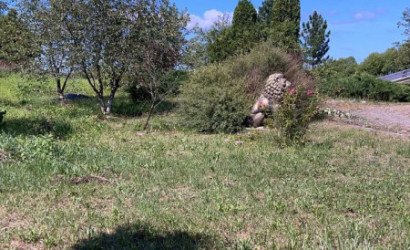 Купить коттедж, Клюковка, Витебская, 100 соток. Фото 4