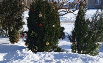 Купить дом, Витебск, 9.8 соток. Фото 23