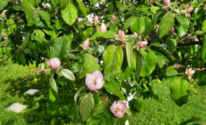 Купить дом, Петришки, 18 соток. Фото 21