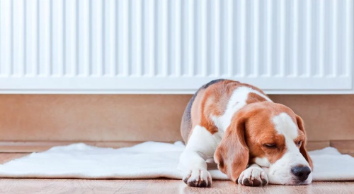 Когда включат отопление