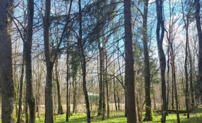 Купить дом в деревне, ЧАРОВНИЦА, 6.95 соток. Фото 8