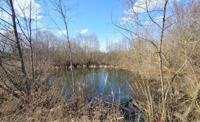 Купить дом, Луговая Вирня, Лесная, 25 соток. Фото 2