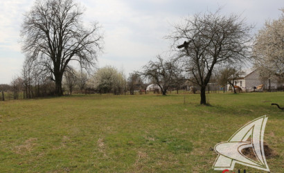 Купить дом в деревне, Буховичи, Буховичский с/с, 25 соток. Фото 29