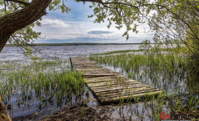 Купить коттедж, Сосенка, Старая ул., 25 соток. Фото 48