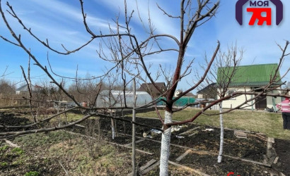 Купить участок, Новые земли, 7.52 соток. Фото 16