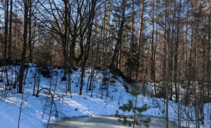 Купить участок, Вишневый сад, 14 соток. Фото 6