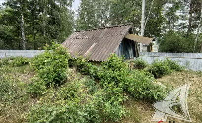  2-этаж.(208.4 м2), Орепичи(Степанковский с/с)