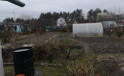 Купить дачу, Мозырь, Пеньки, 14 соток. Фото 12