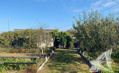 Купить дачу, Брест, Чернинский с/с, 5.5 соток. Фото 2