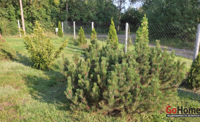 Купить коттедж, Свериново, 25 соток. Фото 34