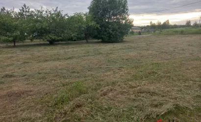  Лютка(с/т Автозаводец)