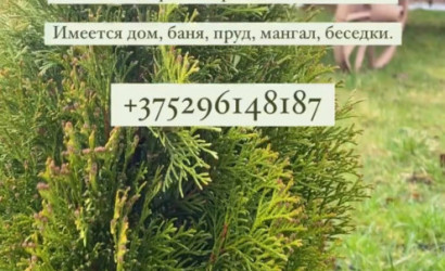 Снять на сутки агроусадьбу, Житковичи, Октябрьская 5. Фото 9