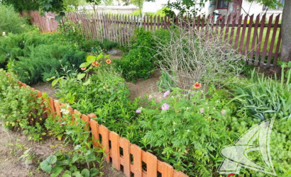 Купить дом, Черняны, Чернянский с/с, 24 соток. Фото 14