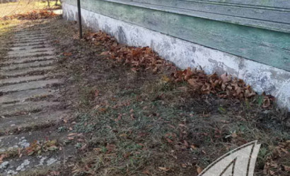 Купить дом в деревне, Горошковка 1, Каменюкский с/с, 25 соток. Фото 24