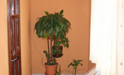 Купить дом, Ковердяки, Мотыкальский с/с, 17.14 соток. Фото 3