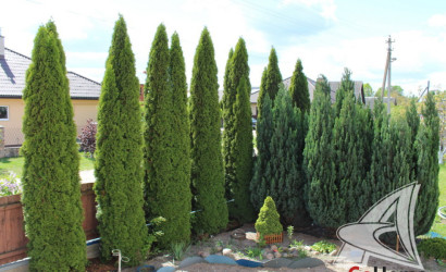 Купить дом, Брест, Гершоны, 25 соток. Фото 19