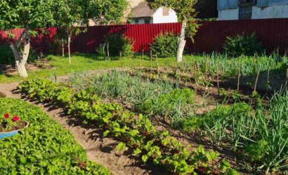 Купить 4-комнатную квартиру, Ходоровцы, Комсомольская. Фото 16