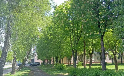  5-этаж.(44 м2), Барановичи(Курчатова ,17)