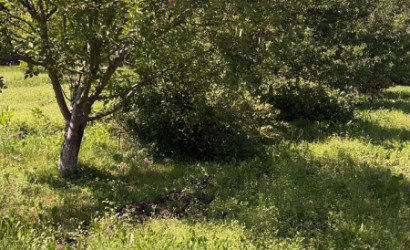 Купить коттедж, Клюковка, Витебская, 100 соток. Фото 12