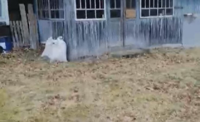 Купить дом, Сарвасы, 9, 15 соток. Фото 6