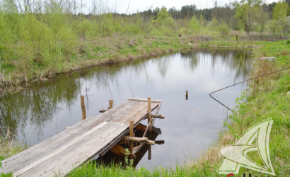 Купить дом, Подлужье, Домачевский с/с, 24.99 соток. Фото 3