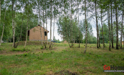 Купить дом, Василевщина, Центральная ул., 22.2 соток. Фото 11