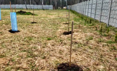 Купить участок, Поречье, СТ Учитель-Гродно, 50 соток. Фото 2