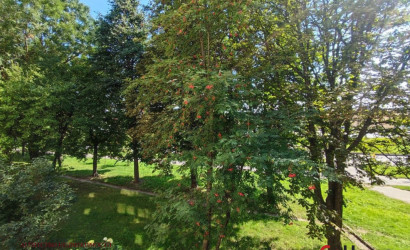 Купить 4-комнатную квартиру, Минск, Ландера, 12 (Октябрьский район). Фото 10