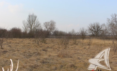 Купить дом, Зеленец, Чернавчицкий с/с, 25 соток. Фото 20