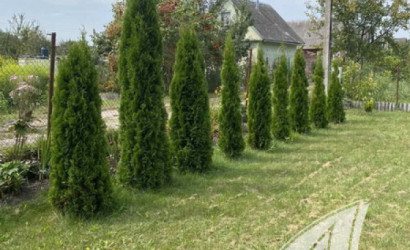 Купить дачу, Брест, Мухавецкий с/с, 5 соток. Фото 9