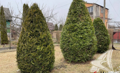 Купить дачу, Брест, Мухавецкий с/с, 4.07 соток. Фото 10