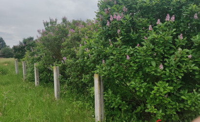 Купить дом, Волколата, Молодёжная, 8, 20 соток. Фото 25