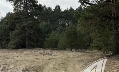 Купить участок, Дубица, Домачевский с/с, 24.9 соток. Фото 2