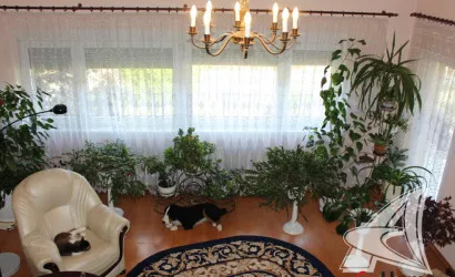  Купить дом