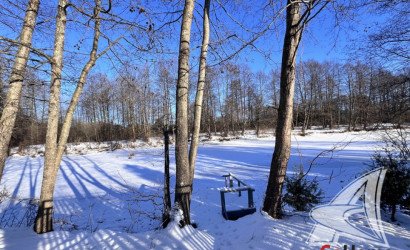 Купить дом, Гули, Мухавецкий с/с, 24.29 соток. Фото 6