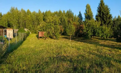  Бибиревка