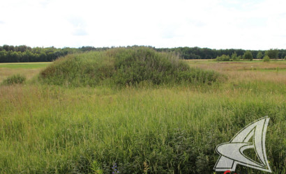 Купить дом, Малые Радваничи, Радваничский с/с, 19.18 соток. Фото 14