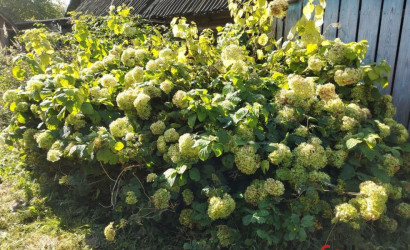 Купить дом, Свислочь, Клименко ул., 119, 21 соток. Фото 12