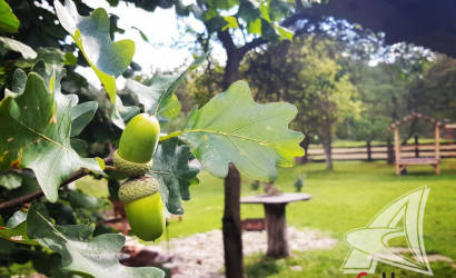 Купить дом, Бобинка, Верховичский с/с, 25 соток. Фото 13