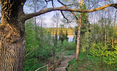 Купить коттедж, Горново, 25 соток. Фото 27