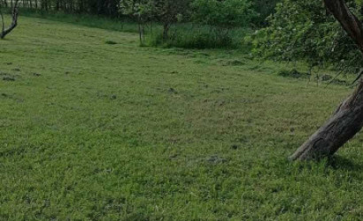 Купить дом, Верховье, Советская, 25 соток. Фото 11