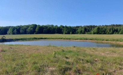 Купить дом, Метличицы, 25 соток. Фото 12