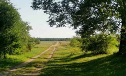 Купить дом, Чертовичи, 34 соток. Фото 5
