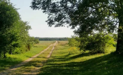  Купить дом