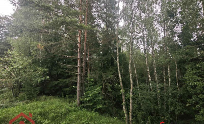 Купить участок, Мончаки, Лесная, 15 соток. Фото 3